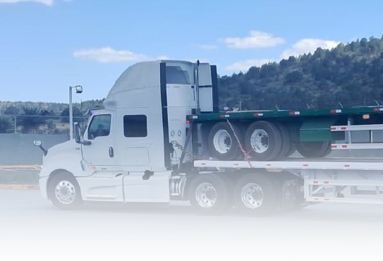 Terra Mzo Fletes de carga consolidada LTL (Intra Mex) (2)